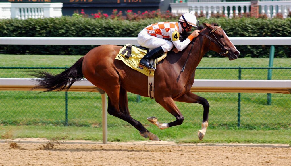 Thoroughbred horse racing on a Kentucky Bluegrass track representing the racing tradition at Keeneland in Lexington Kentucky